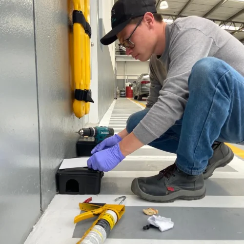 Control de plagas, roedores y cucarachas en Bogotá y Cundinamarca