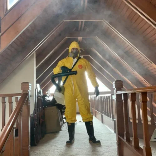 Desinfección de Viviendas y Conjuntos Residenciales en Bogotá y Cundinamarca